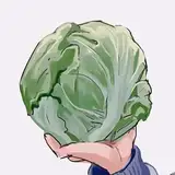 optozorax