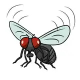InsectBro