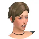 aroundthesims