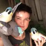 micknagerie