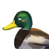 かもロマ