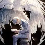 Silva-Sensei 