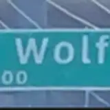 wolf55