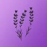 Lavender XIV