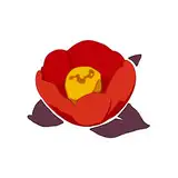 椿羽