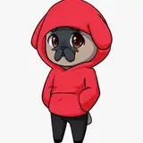 Pug