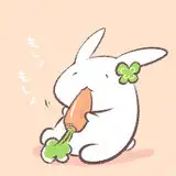 倉塚りこ（くらつか りこ）