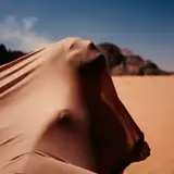 alexispaoleschi