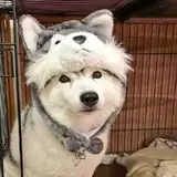 cerim