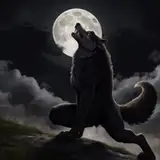 TheWolfHouse
