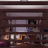 cerodier