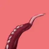 tkgsippo