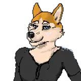 HuskyPixels