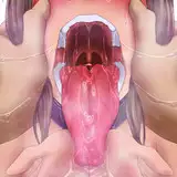 r0undshier