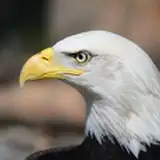 ヒドロ