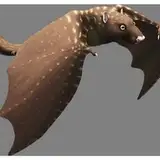 Carliro