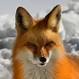 Bystroushaak