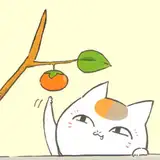 XingSkyrimSE