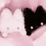 ᴱᵏᵏˢᵗᵃᶜʸ