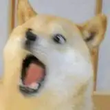 T O S H I I E