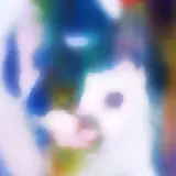 QslyngsB