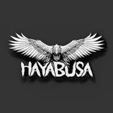 Hayabusa