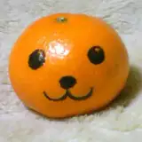 渡辺憲法