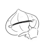 iwagaki