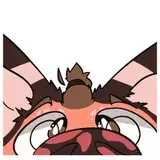 AJ the Fox