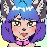 splashtf