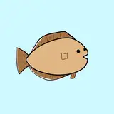 右向カレイ