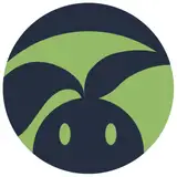 Din Animation Studio