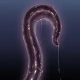 taro007