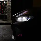 Lek