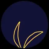 はらけんし