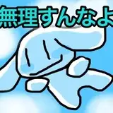 乾杏子